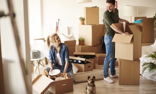 A couple is unpacking boxes in a bright, newly moved-into room. The woman is kneeling, taking dishes from a box, while the man stands, opening another box. A small dog sits on the floor watching them. Cardboard boxes and plants are scattered around.